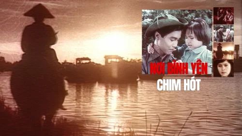 Nơi Bình Yên Chim Hót - A Place Where Peaceful Birds Sing