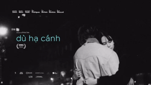 Dù hạ cánh - Parachute